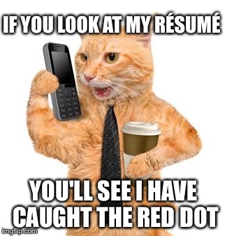 cat business leaving patient care meme mistakes imgflip dot red rookie avoid when resumes slacking mistake letters cover caught