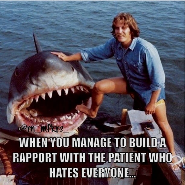 sales careers image - less intimidating than a shark